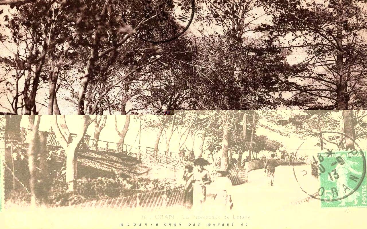 32- Oran - la-promenade-de-letang.jpg
